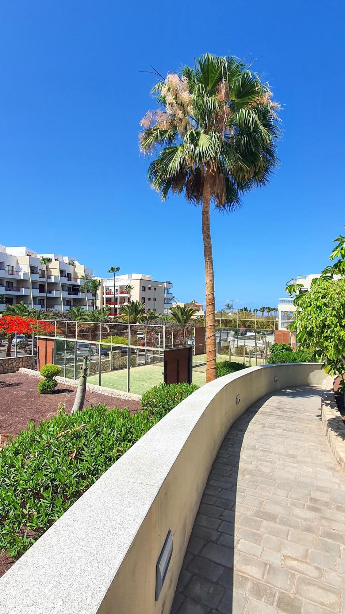 Terraza Sea & Sun Apartamento Palm-mar Exterior foto